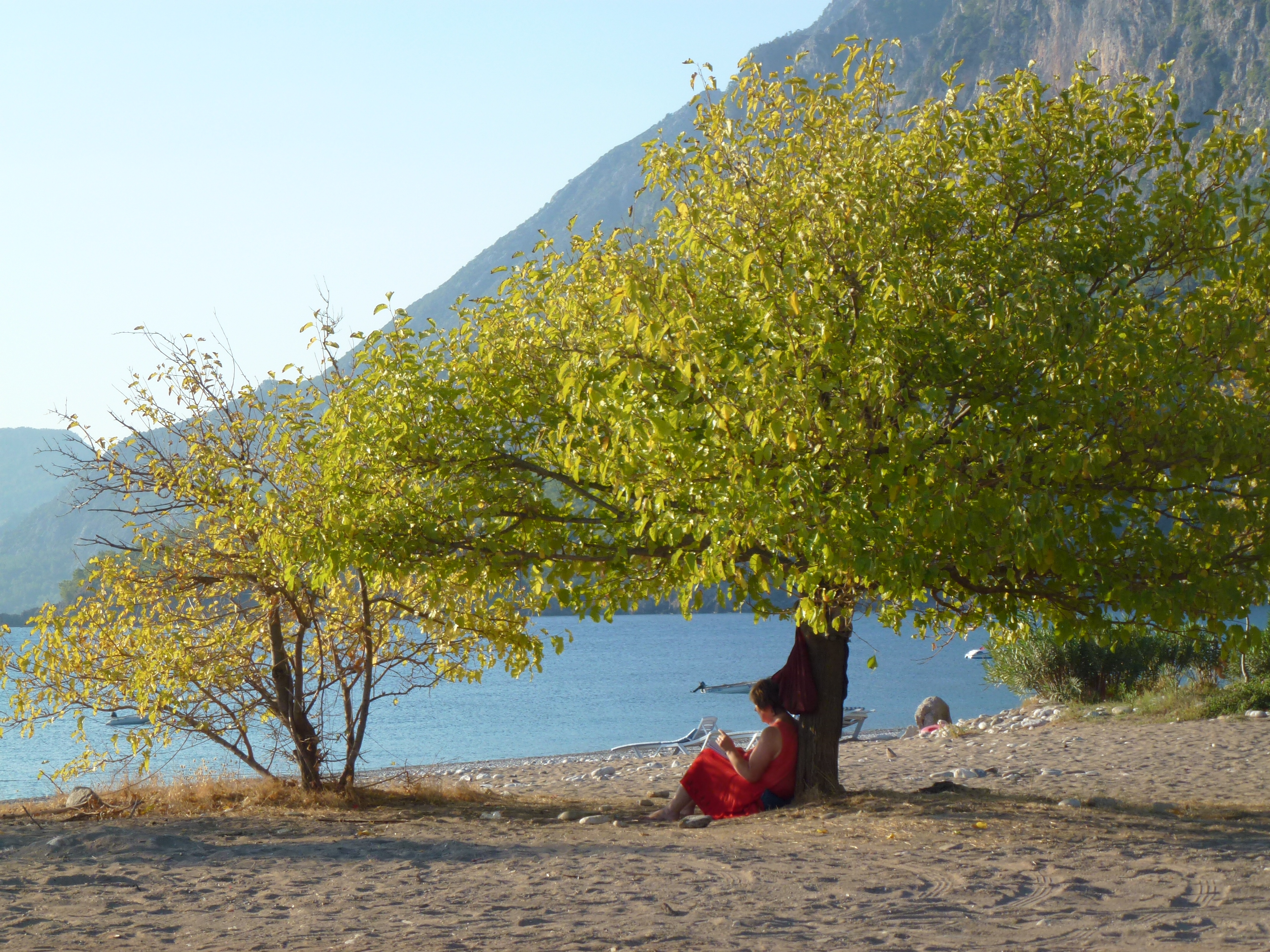Kreative Lebens- und Berufsplanung / Seminar und Coaching in der Natur